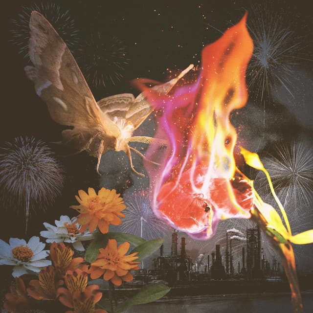 Album cover art for I Love You