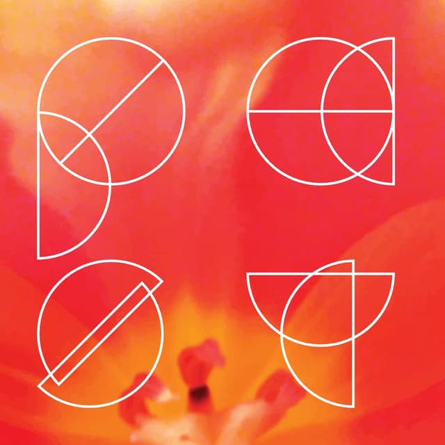 Album cover art for czarno / biala
