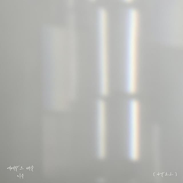 Album cover art for 아날로그