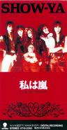 私は嵐 (watashi ha arashi)