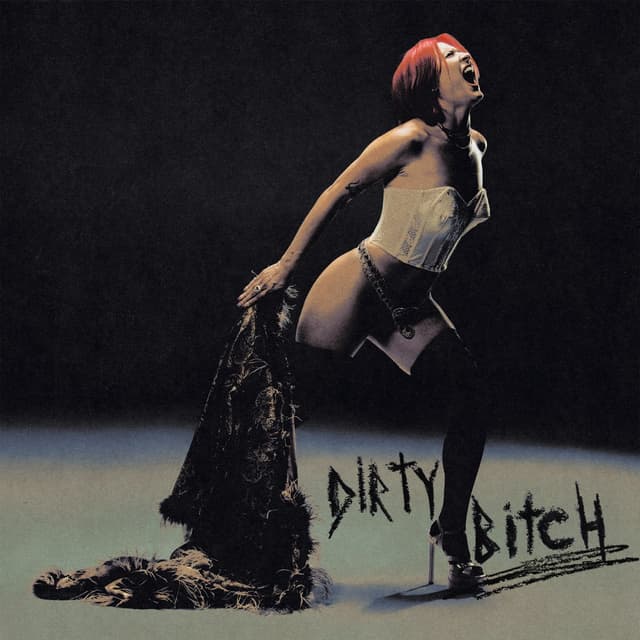 Album cover art for Dirty Bitch