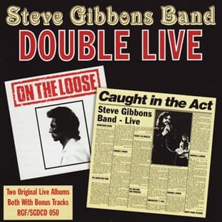Album cover art for Double Live