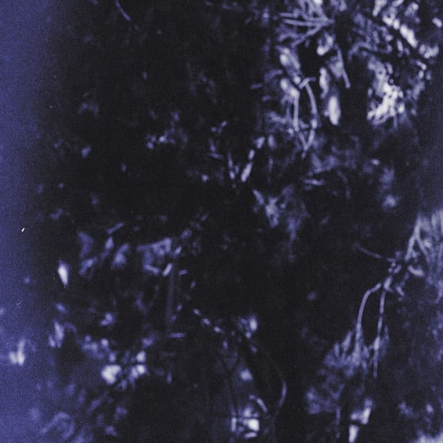 Album cover art for dream river. (Async Ross reworks)
