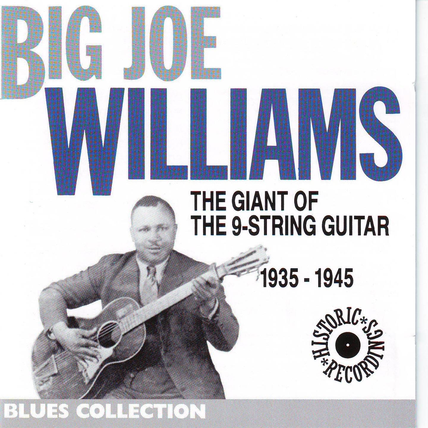 The Giant Of The 9 Strings Guitar