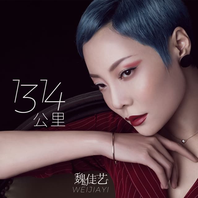 Album cover art for 1314公里