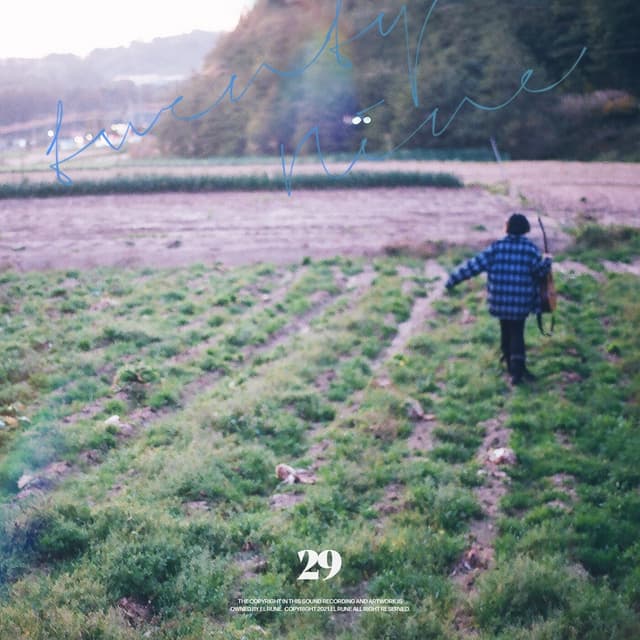 Album cover art for 29