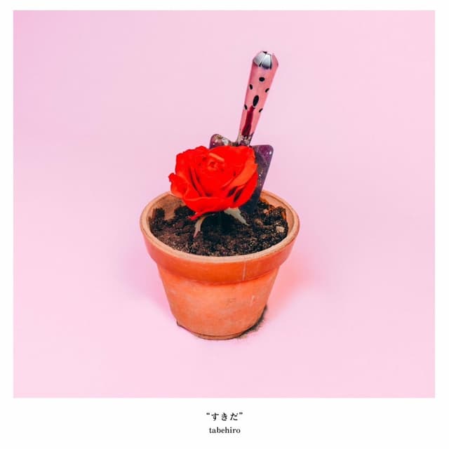 Album cover art for すきだ
