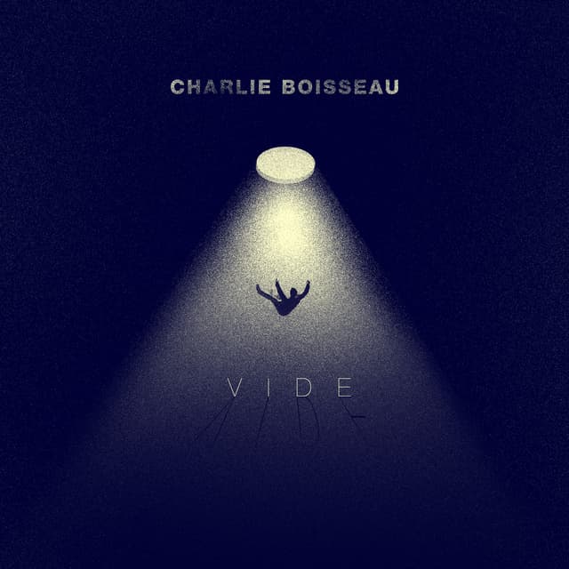 Album cover art for Vide