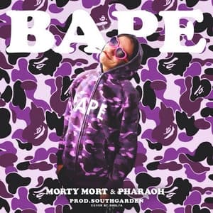 Album cover art for BAPE