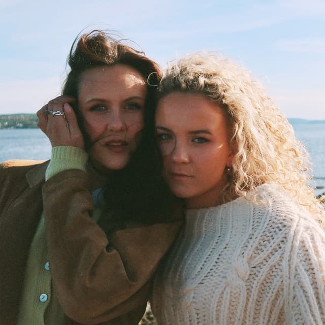 Album cover art for Alle vil til himmelen