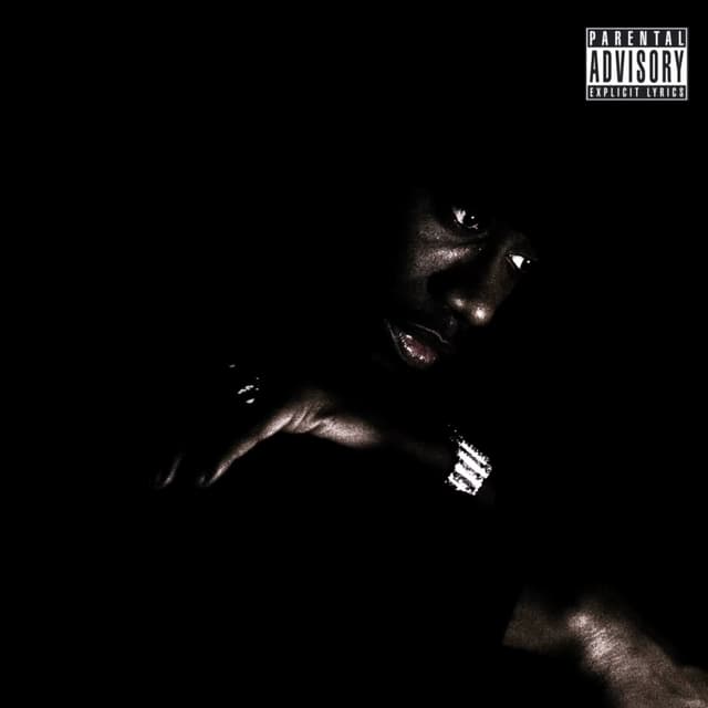 Album cover art for HOTTEST IN THE ROOM