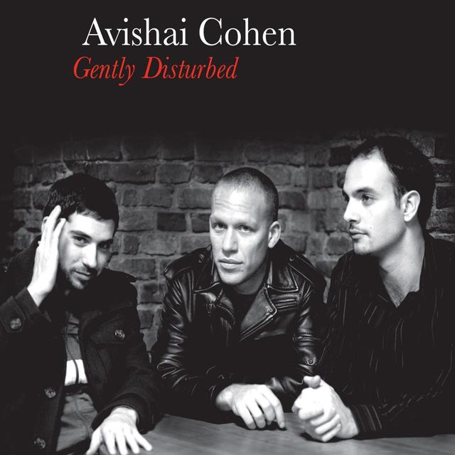 Album cover art for Gently Disturbed