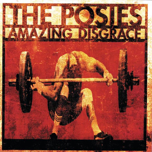 Album cover art for Amazing Disgrace