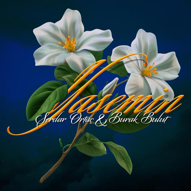 Album cover art for Yasemin