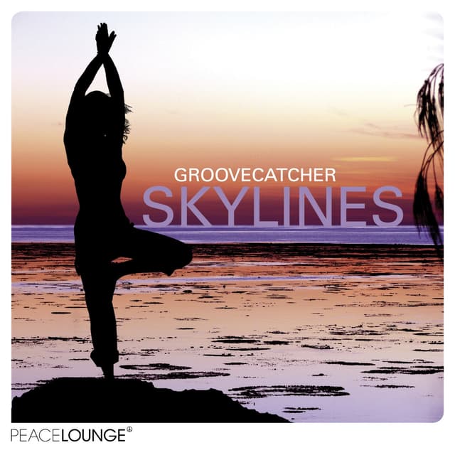 Album cover art for Skylines