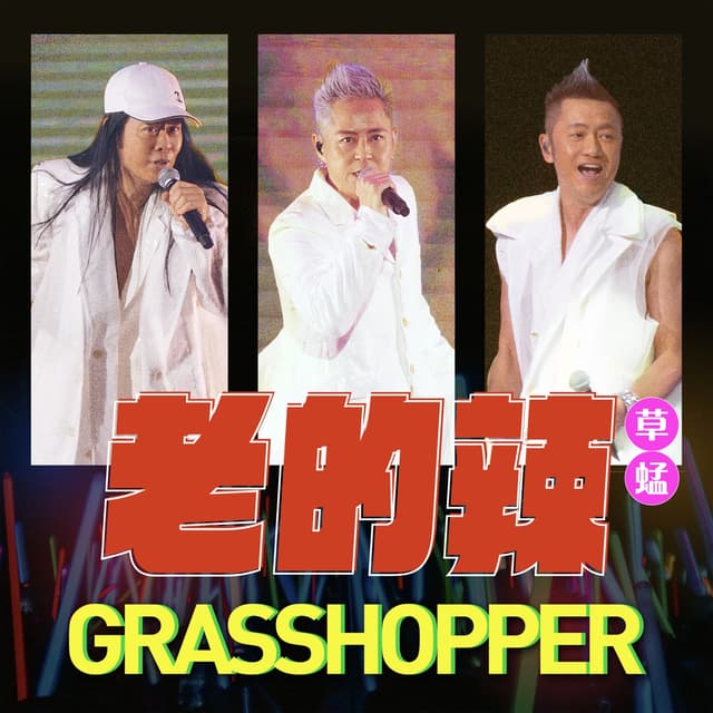 Album cover art for 老的辣