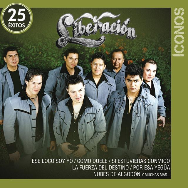 Album cover art for Íconos 25 Éxitos