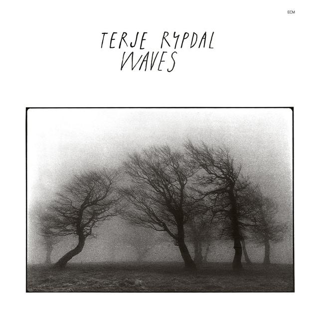 Album cover art for Waves