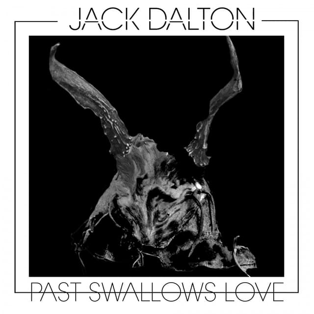 Album cover art for Past Swallows Love