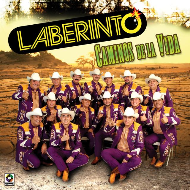 Album cover art for Caminos de la Vida