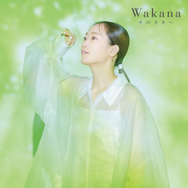 Album cover art for Sonosakie