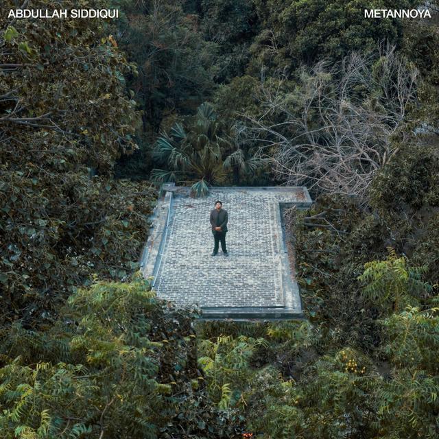 Album cover art for Metannoya