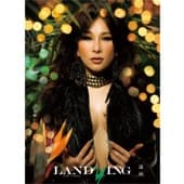 Album cover art for Landing