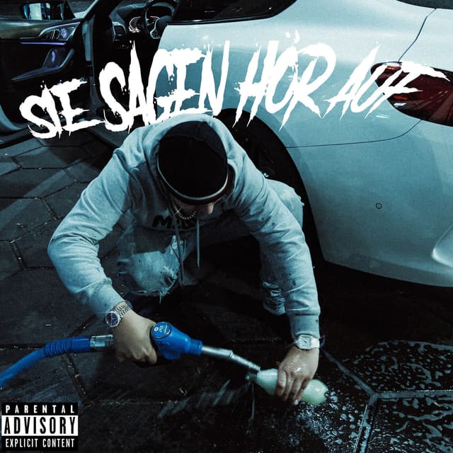 Album cover art for SIE SAGEN HÖR AUF