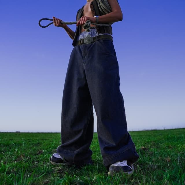 Album cover art for Gaúcho