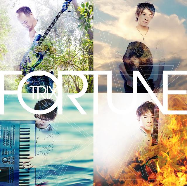 Album cover art for Fortune