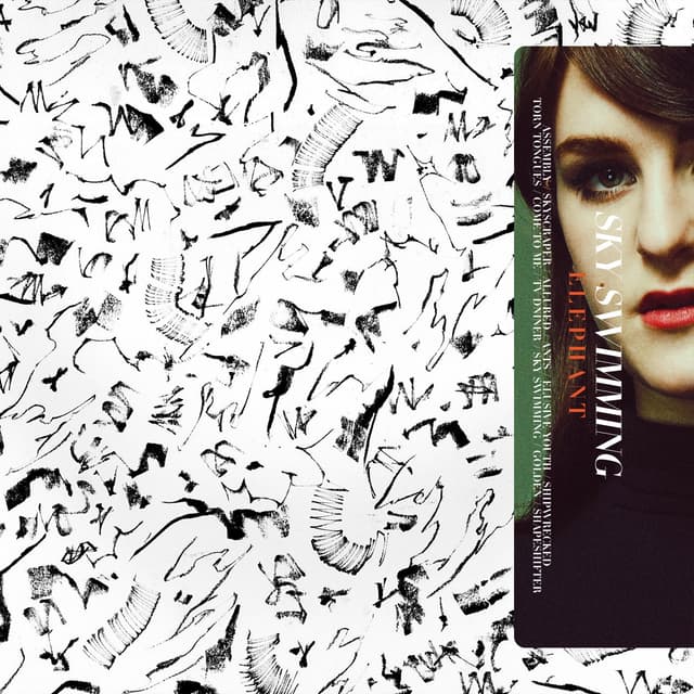 Album cover art for Sky Swimming