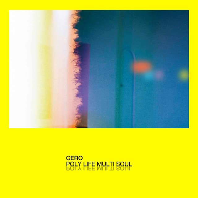 Album cover art for Poly Life Multi Soul