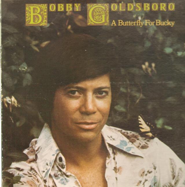 Album cover art for A Butterfly For Bucky