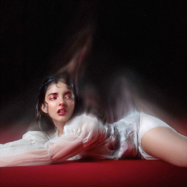 Album cover art for Vladi