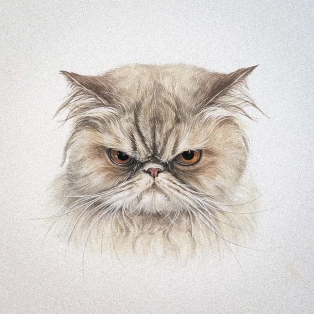 Album cover art for It's Me!