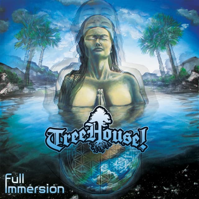 Album cover art for Full Immersion