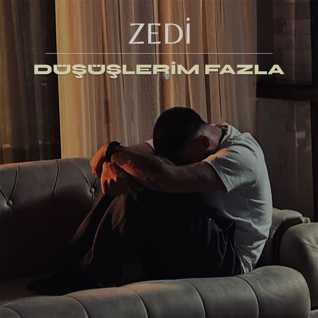 Album cover art for Düşüşlerim Fazla