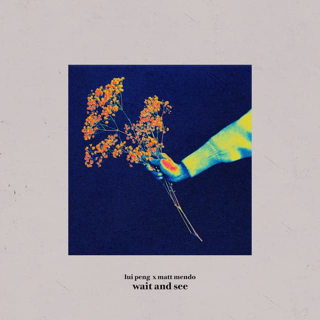 Album cover art for Wait and See
