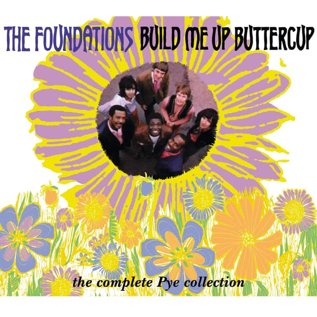 Album cover art for Build Me Up Buttercup - The Complete Pye Collection