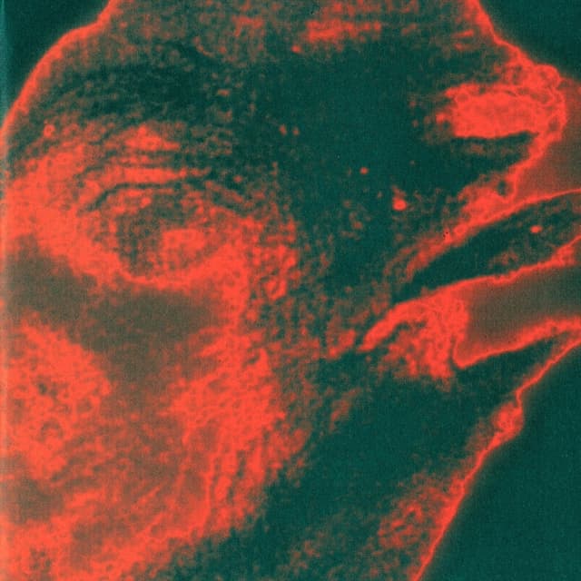 Album cover art for Deska
