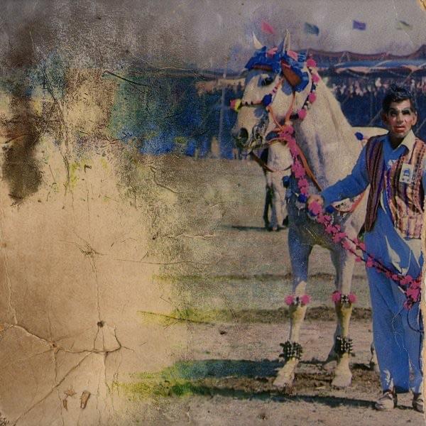 Album cover art for Snake Magnet
