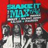 Shake It To The Max (FLY)