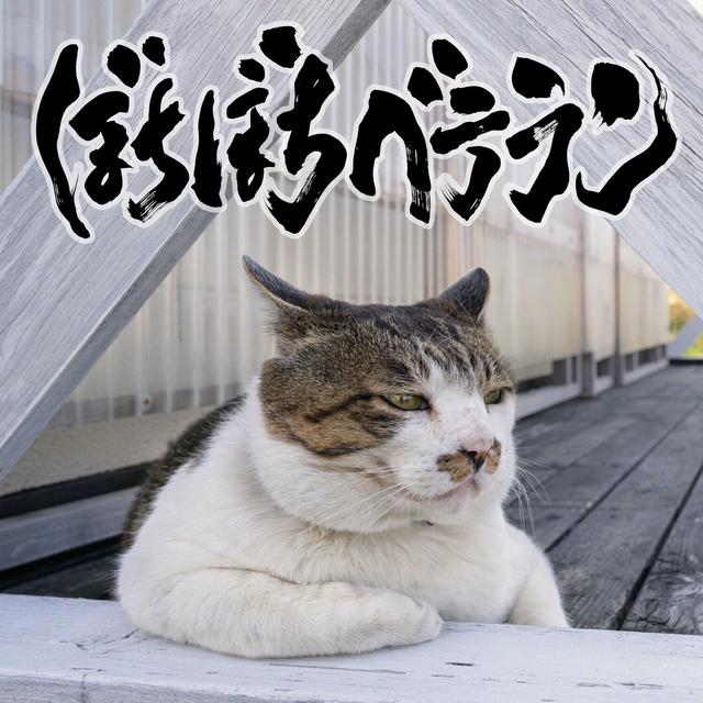 Album cover art for ぼちぼちベテラン