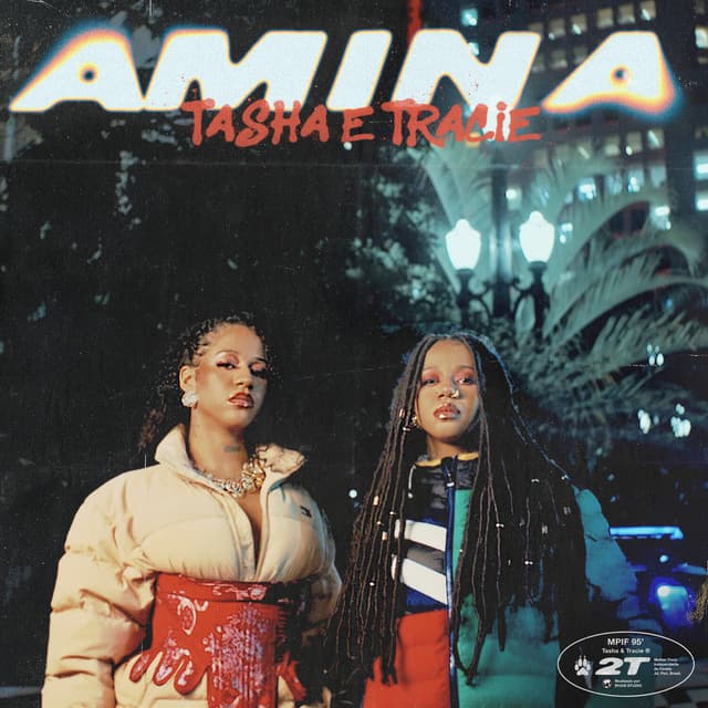 Album cover art for Amina