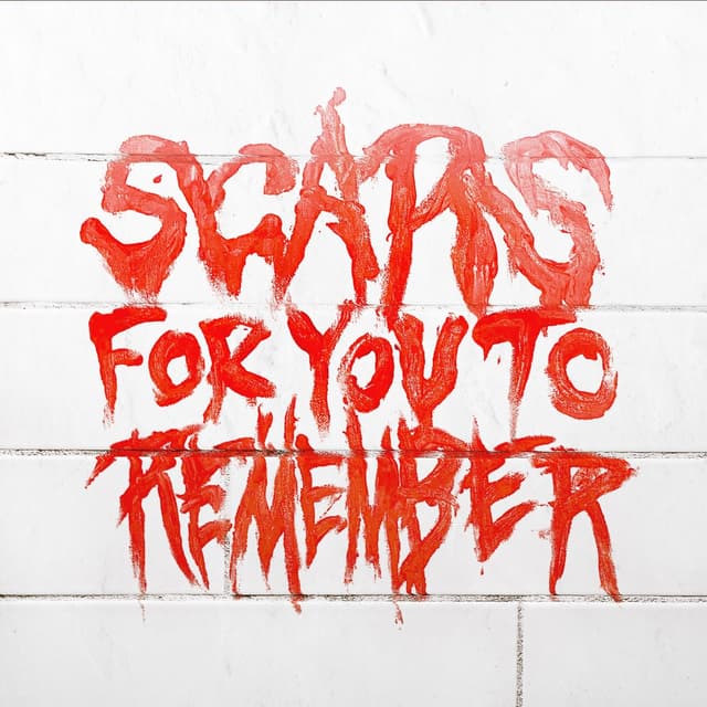 Album cover art for Scars For You to Remember