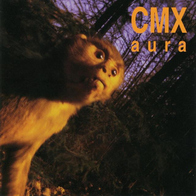 Album cover art for Aura