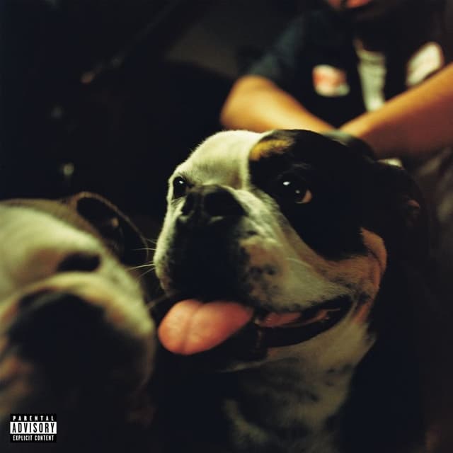 Album cover art for BULLDAWG