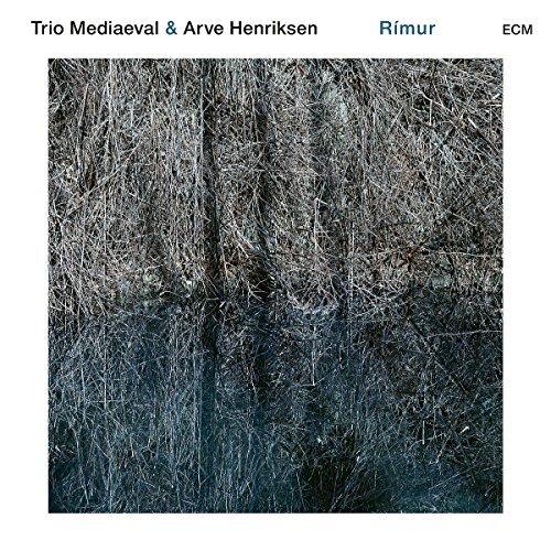 Album cover art for Rimur