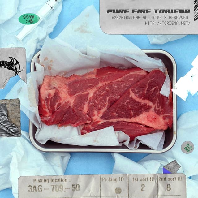Album cover art for PURE FIRE