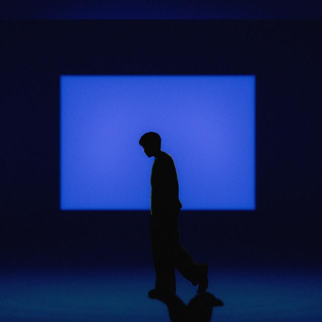 Album cover art for Ambiguous